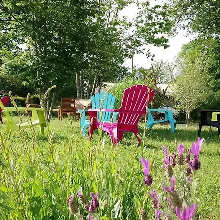 Campingplads Tente Accueillant Animaux - 5 Pers. - Api-1-52-2327 *