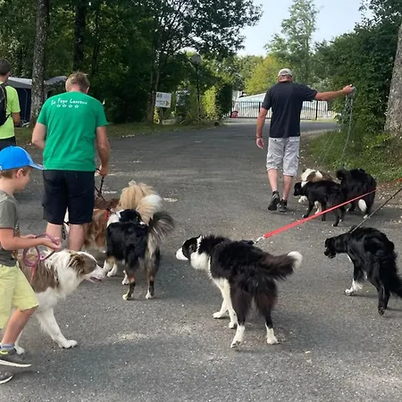 Tente Accueillant Animaux - 5 Pers. - Api-1-52-2327 Campingplads *